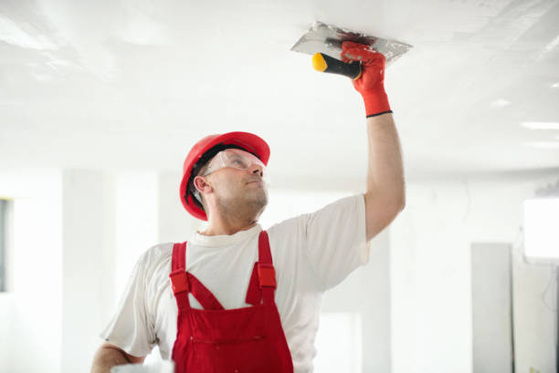 Reliable Vamo, FL Painting & Drywall Installation Solutions